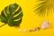 Top view on monstera and palm leaves with sea shells on yellow background. Concept of beach holiday, sea tour, warm