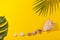 Top view on monstera and palm leaves with sea shells on yellow background. Concept of beach holiday, sea tour, warm