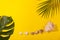 Top view on monstera and palm leaves with sea shells on yellow background. Concept of beach holiday, sea tour, warm