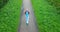 The top view from the moving drone on the young woman the doing sports warm-up on a park path