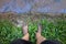 Top view muddy dirty barefoot on cultivation field