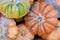 Top view of multi colored \\\'Musquee de Provence\\\' pumpkins