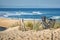 Top view. Natural background. Scenic travel background. Blue background. Beach view dunes. Sunset sea sand beach