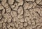 Top view of natural background with texture of earth and sand covered cracks and detached parts from the drought