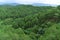 Top view Nature Pine Forest. Aerial view. From above