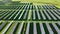 Top view of a new solar farm. Rows of modern photovoltaic solar panels next to the green field.