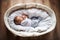 A top view of a newborn baby at home, sleeping in a moses basket.