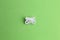 Top view of newborn pacifier isolated on green background