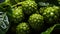 Top-View Noni Pile Fresh and Exotic Superfood Delights