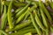 Top view of the okra vegetable also called as ladies finger