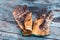 Top view old dirty work gloves on a wooden table stained with grease and oil. Hard work professions are not always well rewarded