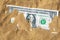 Top view of one dollar banknote buried in the sand. Closeup of dollar bill in the sand