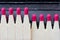 Top view open matchbox on  black