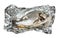 Top view of Orata fish baked in foil cut out