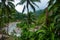 Top view of palm trees and the river. Beautiful landscape, Negros. Philippines