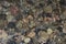 Top view of pebbles river bed through clear water