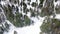 Top view of people lost in forest in winter. Footage. Group of active tourists got lost in dense coniferous forest on