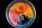 top view of a petri dish with chemical reaction