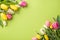 Top view photo of bunches of pussy willow yellow pink and white tulips on  light green background with copyspace
