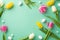 Top view photo of easter quail eggs and colorful tulips on isolated turquoise background with blank space in the middle