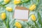 Top view photo of woman`s day composition craft paper envelope paper sheet yellow tulips and white gypsophila flowers on pastel