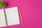 Top view photo of workplace with plant pencil and open organizer on isolated pink background with copyspace