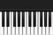 Top view of piano keyboard in realistic style. Two octaves. Vector illustration.