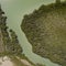 Top view of a piece of green water running between trees in Northland, New Zealand