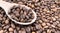 Top view of a pile of scattered aromatic roasted brown coffee beans with a wooden scoop. Coffee beans in a wooden spoon