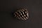 Top view of a pinecone isolated on black background