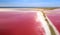 Top view of a pink lake. The narrow shore separating the lake and the sea bay. Pink lake with high salt content