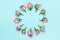 Top view of pink roses arranged in circle over blue background. Abstract floral background.