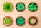 Top View Plant Icon Set