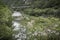 Top view of the Platano river canyon