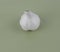 Top view portrait of a medium size white colored garlic before an empty background