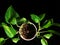 Top view of a potted plant on a black surface