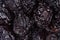 Top view of prunes as background texture.