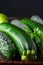 Top view of pumpkins, cucumbers, parsley and avocado, with selective focus, on basket and dark background