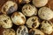 Top view on quail eggs with spotted shells on wooden plate.