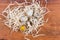 Top view quail eggs on wood shavings on wooden surface