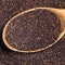 Top view of rapeseeds in wood spoon