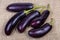 Top view of raw harvested purple eggplants on the burlap