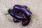 Top view of raw harvested purple eggplants on the burlap