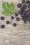 Top view raw organic Blackberries fruit with a leaf