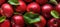 Top View of Red Apples and leaves with Fresh Water Drops, Vibrant Healthy Eating, Apple Fruit Backgrounds, Ai generative