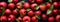 Top View of Red Apples and leaves with Fresh Water Drops, Vibrant Healthy Eating, Apple Fruit Backgrounds, Ai generative