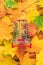 Top view of red pushcart over colorful autumn leaves background. fall sale season concept