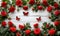 Top-view Red Roses and Butterflies on White Wood background,a serene composition celebrating nature and beauty,Generated AI
