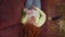 Top view redhead retro woman sleeping with book and empty beer bottle lying on floor with scattered popcorn. Drunk