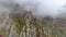 Top view on relief of rocks autumn in fog. Shot. View of rock formations of mountain with colored dry grass and shrubs